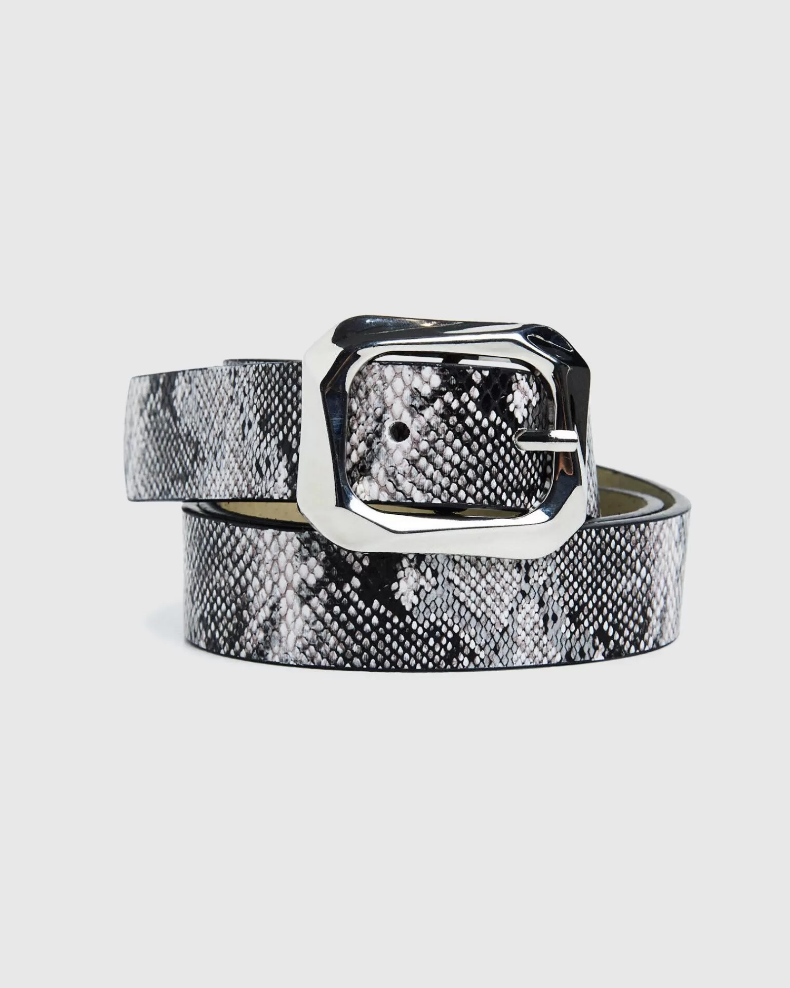 Store NEON HART Nova Belt Black Snake